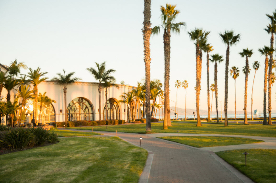 Santa Barbara palm trees outside our graduation location